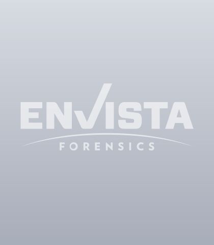 Principal Consultant in Dallas, TX